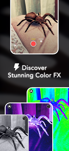 ARSpiders.com: Spider on Face screenshot