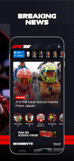 Formula 1® screenshot