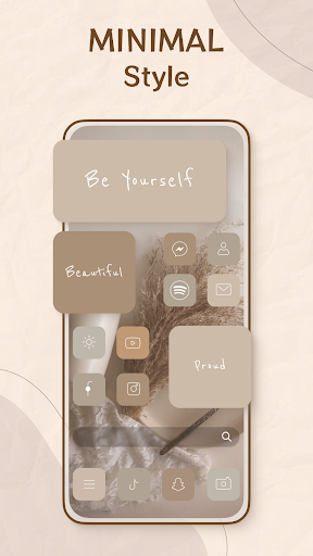 Theme, Widget & Icon changer screenshot