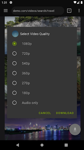 Video Downloader Pro screenshot