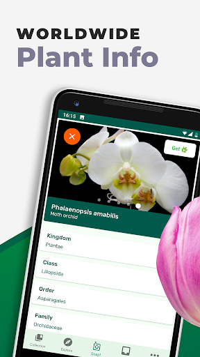 PlantSnap: plant identifier screenshot