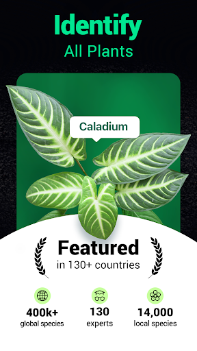 Plantum - Plant Identifier screenshot