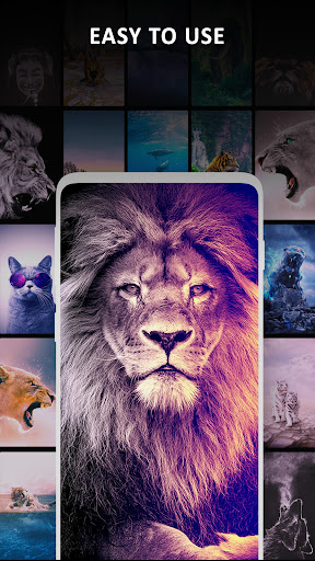 4K, HD Wallpapers | Background screenshot