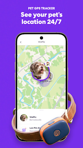 Life360: Stay Connected & Safe screenshot