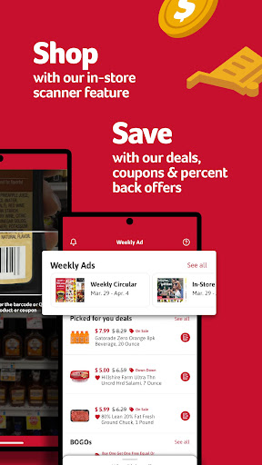 Winn-Dixie screenshot