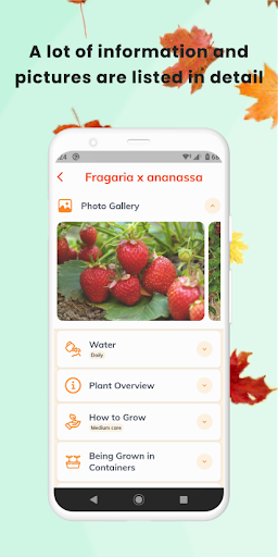 Plant App - Identifier & Care screenshot