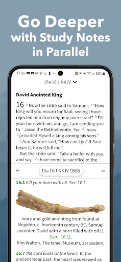 Bible App by Olive Tree screenshot