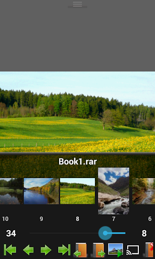 Perfect Viewer PDF&DJVU Plugin screenshot