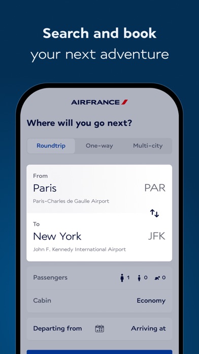Air France - Book a flight screenshot