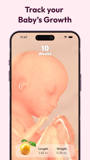 WeMoms Pregnancy Baby Tracker screenshot