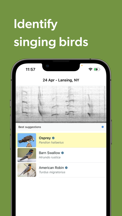 Merlin Bird ID by Cornell Lab screenshot