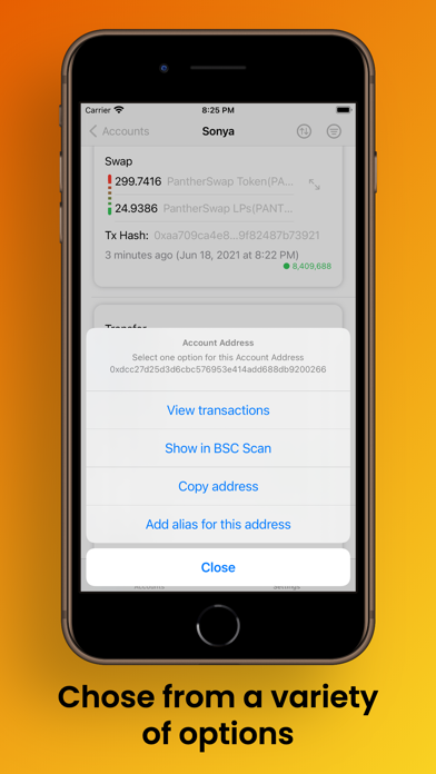 Binance Smart Chain Explorer screenshot